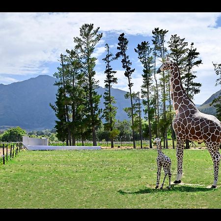 Auberge La Dauphine Guest House Franschhoek Dış mekan fotoğraf
