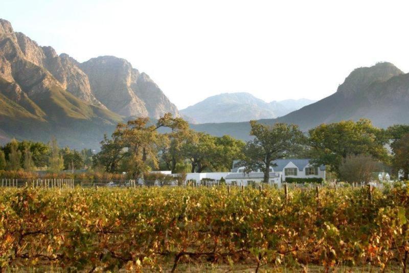 Auberge La Dauphine Guest House Franschhoek Dış mekan fotoğraf