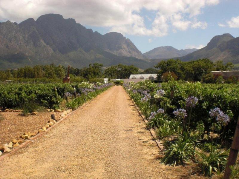 Auberge La Dauphine Guest House Franschhoek Dış mekan fotoğraf