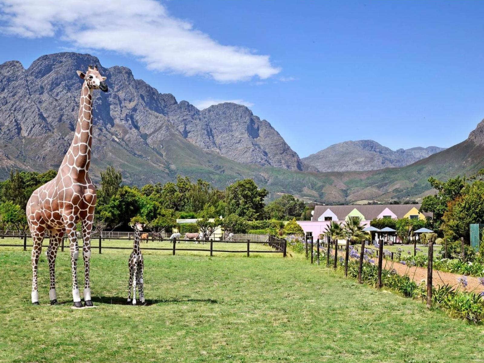 Auberge La Dauphine Guest House Franschhoek Dış mekan fotoğraf