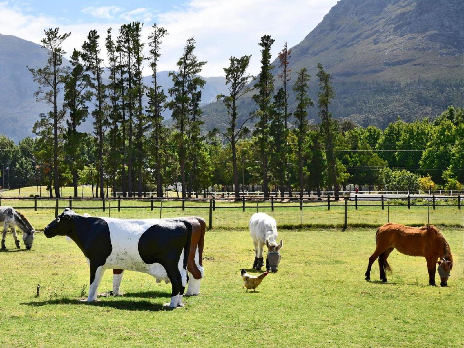 Auberge La Dauphine Guest House Franschhoek Dış mekan fotoğraf