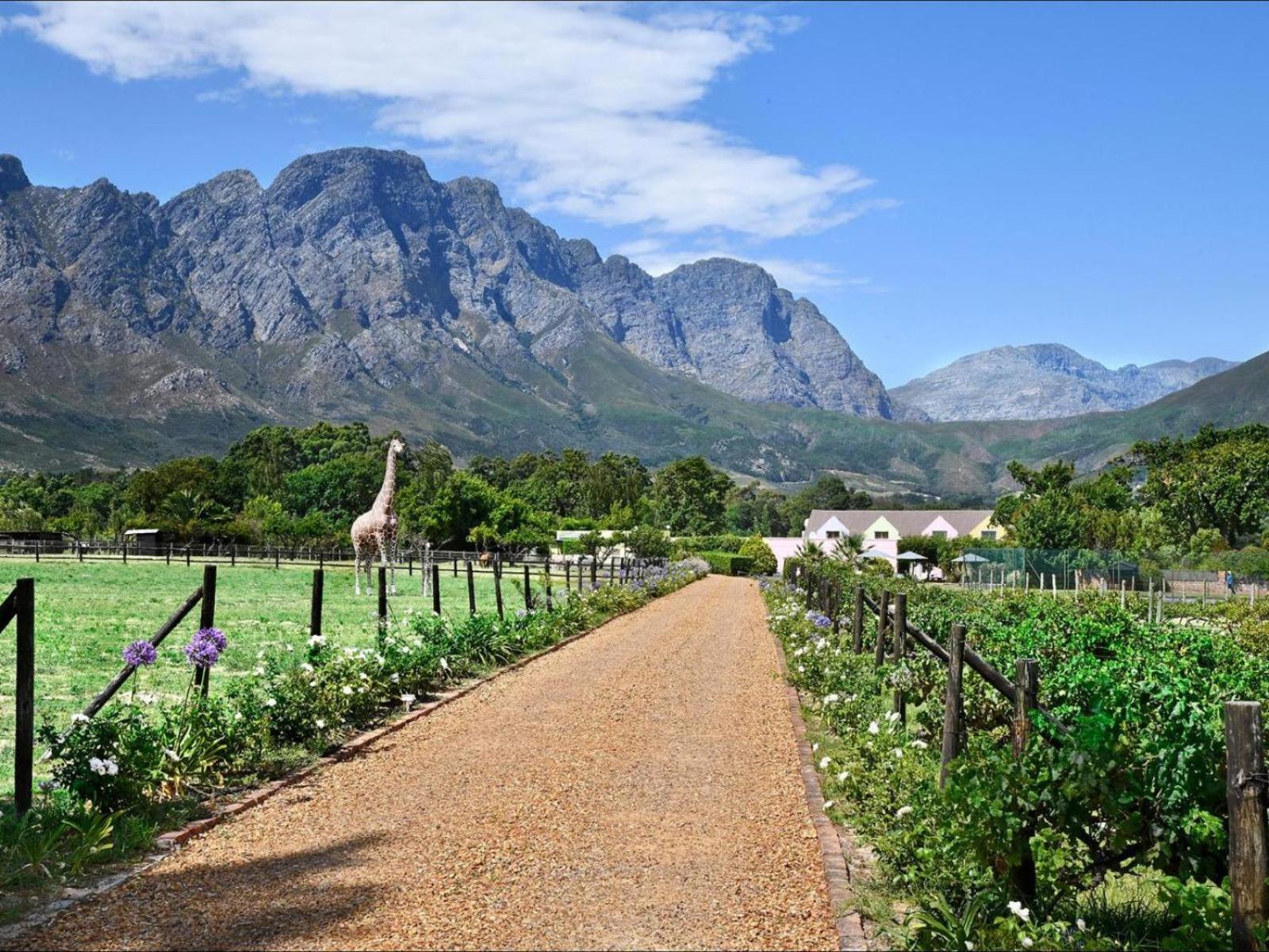 Auberge La Dauphine Guest House Franschhoek Dış mekan fotoğraf